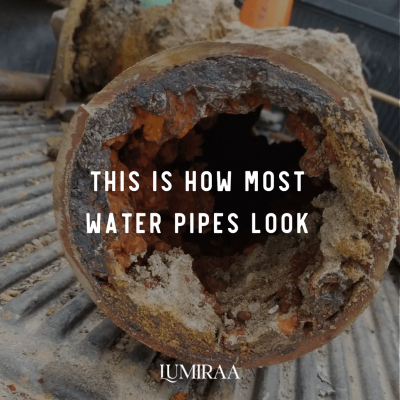 The Lumiraa Shower Head